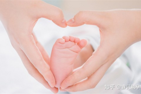 http://nanjing.51dzb.net/post/188.html|南京新闻中心